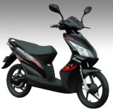 Electric Scooter (TDR-78Z)