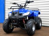E- ATV off Road ATV Kids ATV Mini Powerful Quad with CE