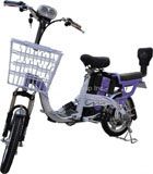 Electric Bicycle/ Electric Scooter