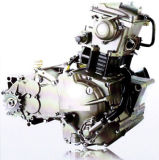 ATV Engine 300