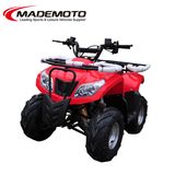 2014 China Made New 110cc ATV