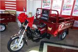 Cargo 125cc/150cc/200cc Three Wheel Motorcycle