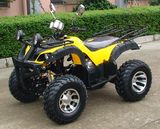 Zc-ATV-10b (150CC) Wangye Gy6