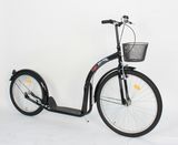 Steel Frame Adult Kick Scooter (PB2620)