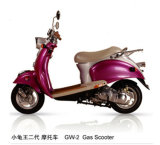 ESWN Gas Scooter (GW-50A)