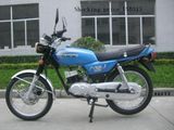 Motorcycle (AX100)