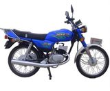 Motorcycle (AX100)