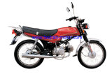 Motorcycle (FR100-B)