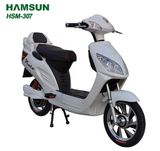 Electric Bike (HSM-307)