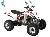 ATV 350cc (350ATV-2)