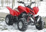 Large ATV 300cc (KL300ST-3)