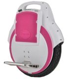 Nice Design 350W Electric Scooter, Mobility Scooter (EU-004)