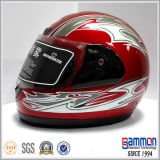 Popular Full Face Motorcycle Helmet (FL104)