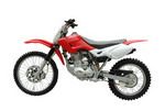 Dirt Bike (ZLDB-24)