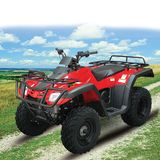 Zc-ATV-11 (300CC)