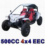 Dune Buggy 4x4 EEC