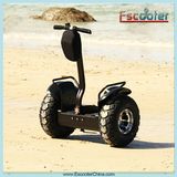 Flexible Self Balance Electric Scooter with Smooth Mobility