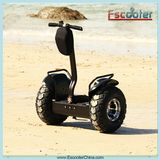 Flexible Self Balance Electric Scooter with Smooth Mobility