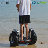 Personal Robotic Electric Scooter, Electric Chariot X2, Two Wheel Balance Scooter