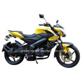 300cc/ 250cc/200cc Motorcycle with Oil Cooling or Air-Cooling (Fazer