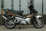Motorcycle (GW110-3)