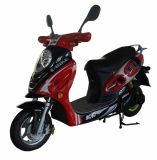 Electric Scooter (FPE-005) 