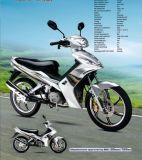 Motorcycle/Cub Motorcycle/Motorbike (SP125-4A EEC) 