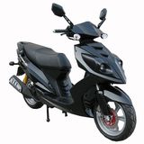 50/125/150CC EEC Scooter (FPM150E-24)