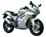 Motorcycle (ZX200-2)
