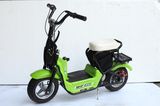 Electric Mini Scooter