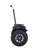 Two Wheels Self Balance Smart Electric Scooter with Remote and Handle
