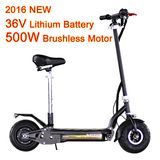 Lightest/Best Lithium Electric Scooter with Folding Design