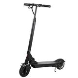 Fashion Electric 300W Folding Scooter