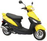 electric scooter(Ds500MD-B)