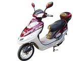 Electric Scooter Eagle (TDR276Z)