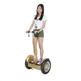 Seggway Standing Smart 2 Wheel Electric Scooter U3