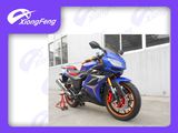 250cc Sport Motrcycle, Strong Racing Motorcycle, 2014 New Design