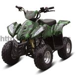 70cc China Fully Automatic ATV Vehicle (FXATV-002A-70cc SB)