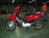 Cub Motorcycle (YW125-Y1)