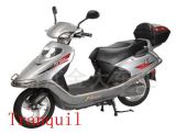 Electric Scooter (ES09)