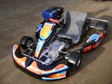 Sporting Go Karts (SX-G1101(W))