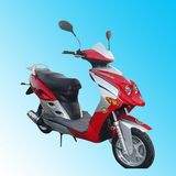 Gas Scooter (QLM50QT-B)