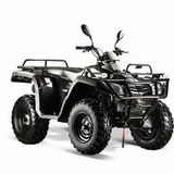 300cc 4x4 EEC ATV(FA300E-6)