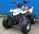 Hot Selling Mademoto Quad Bike