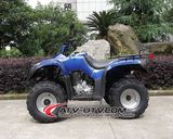 Durable Quad Bikes for Sale
