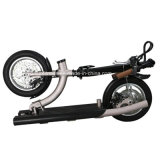 Folable Electric Scooter with Seat
