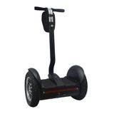 New Chic Green Power 2 Wheels Self Balance Scooter