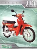 Motorcycle JL100-3/JL110-3