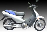 CUB Bike SKC110(VI)