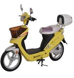 Puruisheng Electric Bicycle (TDP07Z)